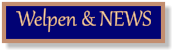 Welpen & NEWS