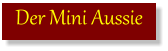 Der Mini Aussie