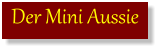 Der Mini Aussie