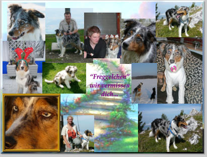 An dieser Stelle möchten Wir uns bei dem gesamten Team der  Kleintierpraxis Dr. Heribert Mertens  für ihren engagierten Einsatz um das  Leben von Genesis zu retten  bedanken. Ein ganz besonderer Dank geht dabei an Tierärztin Nadja Plum die selbst an  Allerheiligen für den kleinen Mann  und uns ständig da war.    “Freggelchen” wir vermissen dich...