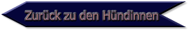 Zurück zu den Hündinnen